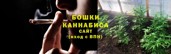 шишки Дубовка