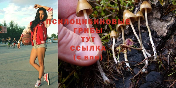 a pvp Приозерск