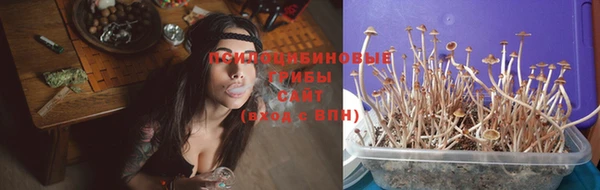 шишки Дубовка