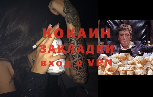 шишки Дубовка