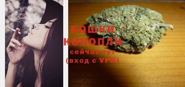 шишки Дубовка